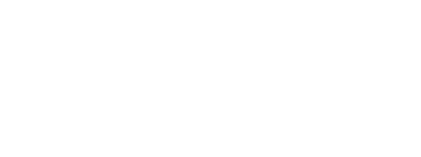 Airportshow